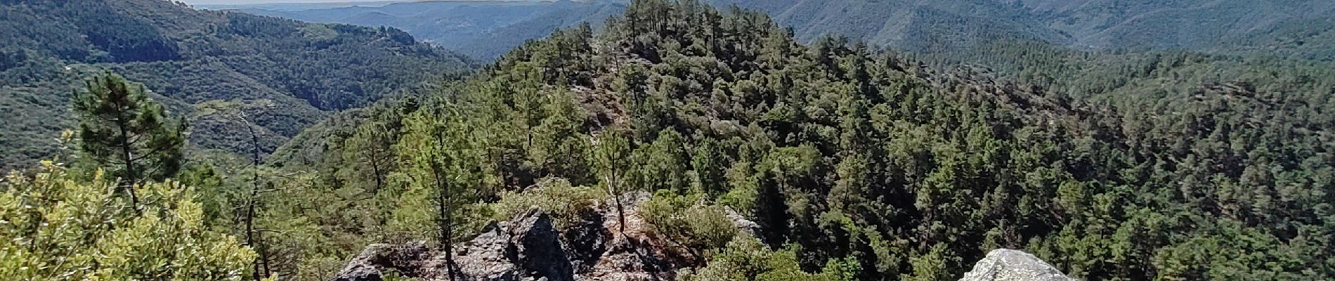 Randonnée Marche Saint-Étienne-Vallée-Française - St Etienne de la Vallée Française - St Jean du Gard GR70 actualisé - Photo