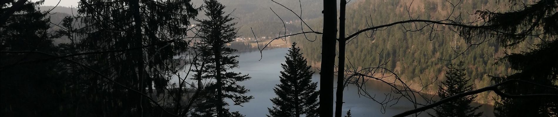 Trail Walking Xonrupt-Longemer - 25022021 Les trois lacs - Photo