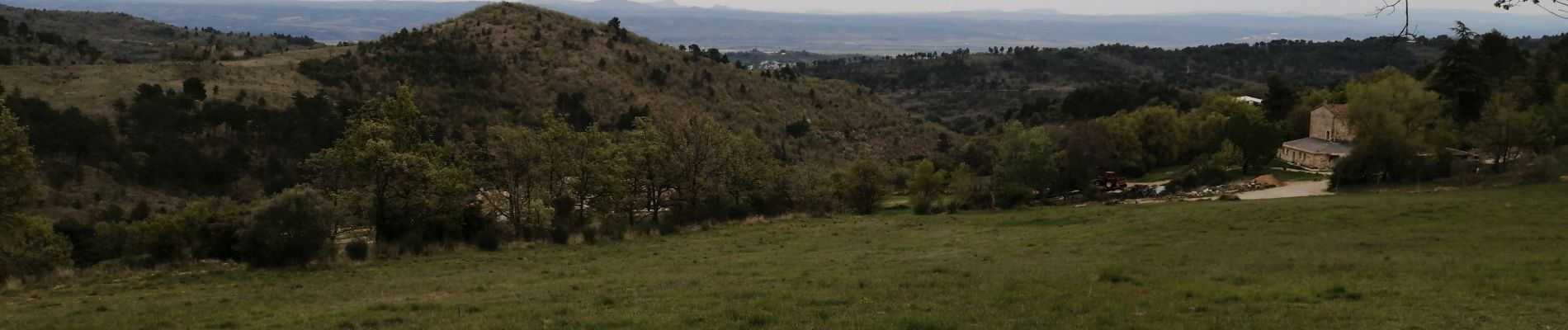 Tocht Stappen Pierrevert - St Martin les eaux 25.04.2021 - Photo