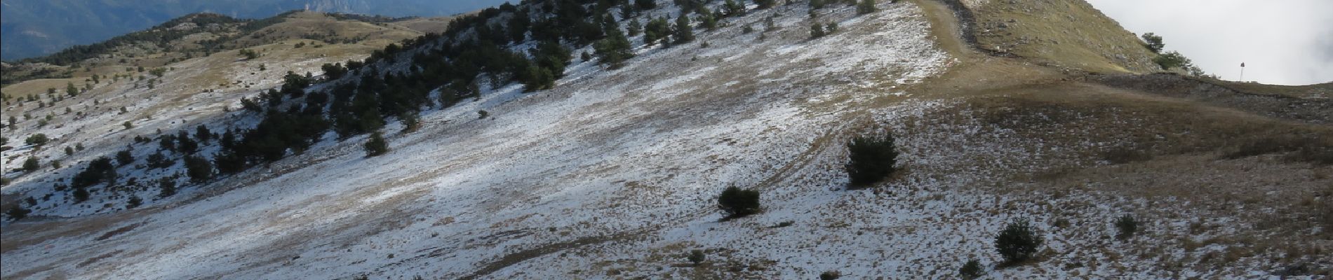 Trail Walking Coursegoules - Sommet du Cheiron depuis Coursegoules - Photo