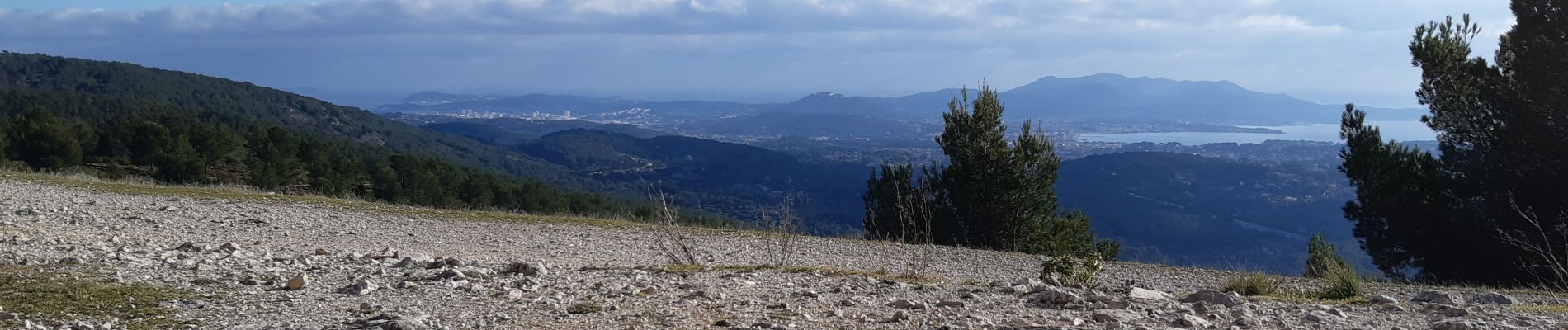 Tour Wandern La Cadière-d'Azur - le gros cerveau - Photo