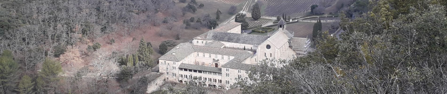 Tour Wandern Gordes - 84 village des bories abbaye de Senanque - Photo