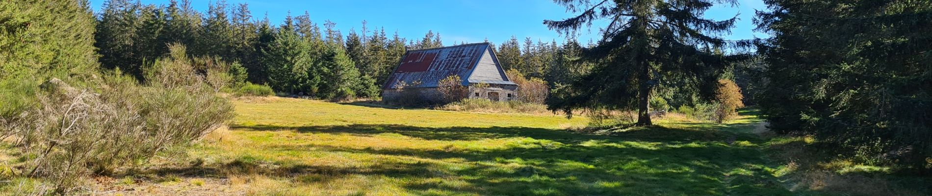 Tour Wandern Saint-Sauves-d'Auvergne - Charlannes-la_charbonnière-la_Stéle - Photo