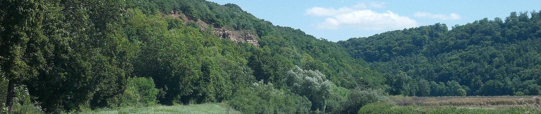 Tocht Te voet Kaiserpfalz - Bahnwanderweg - Photo