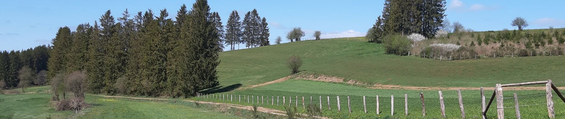 Excursión Senderismo Léglise - Volaiville - Winville - Photo