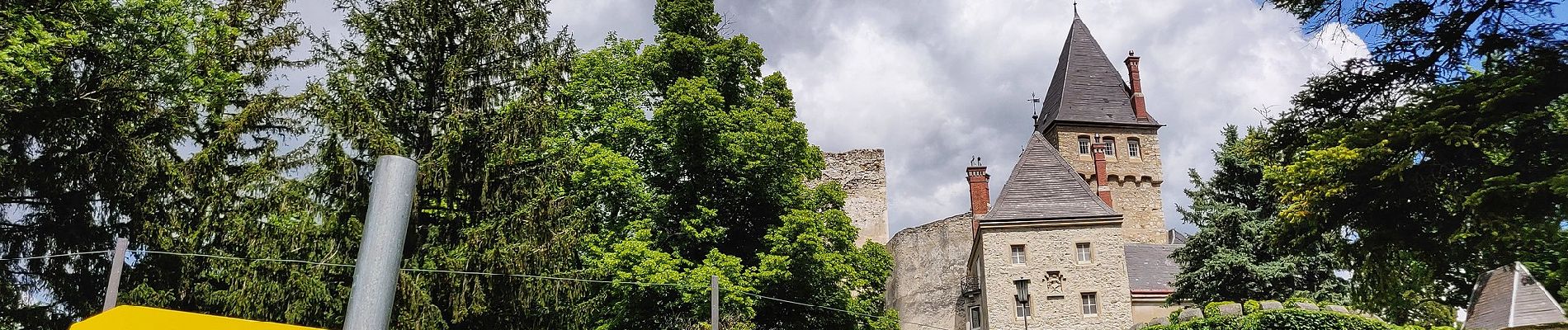 Tour Zu Fuß Gemeinde Raach am Hochgebirge - Eiben Rundwanderweg (Schlagl) - Photo