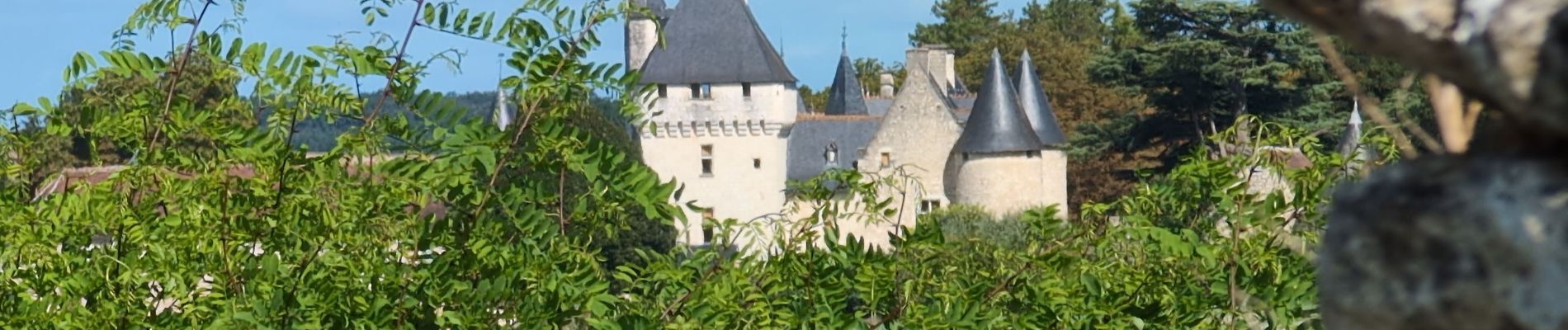 Tour Wandern Lémeré - Lémeré - le Coudray Château du Rivau - 15.6km 140m 3h20 (1h) - 2024 08 25 - Photo