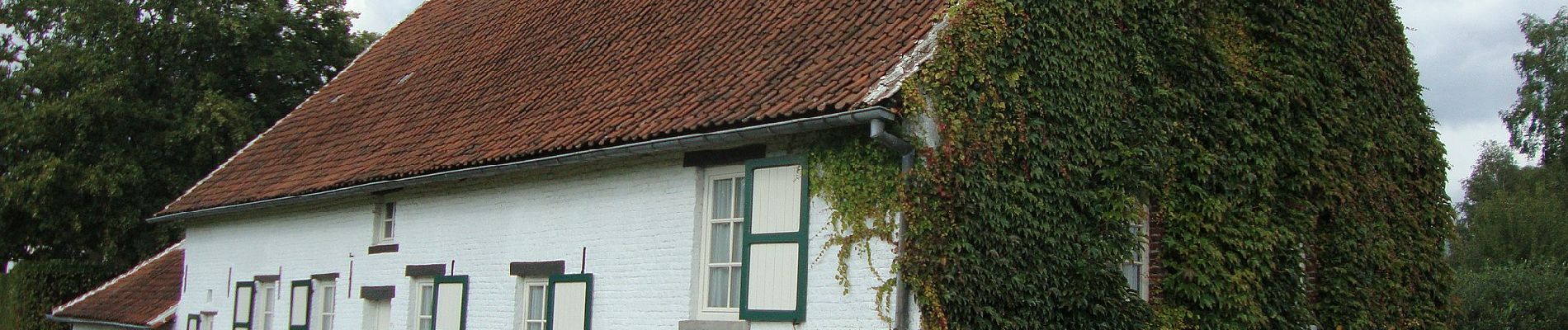 Tour Zu Fuß Holsbeek - Hagelandse Vallei Blauwe ruit - Photo