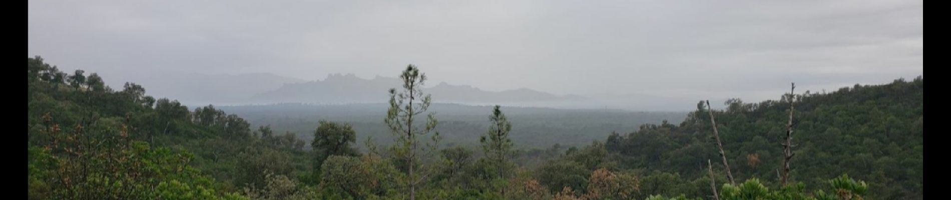 Excursión Senderismo Roquebrune-sur-Argens - 