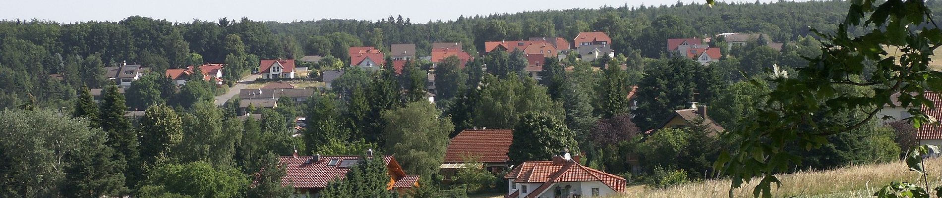 Randonnée A pied Otzberg - Rundwanderweg Hassenroth 3 : Waldlehrpfad - Photo