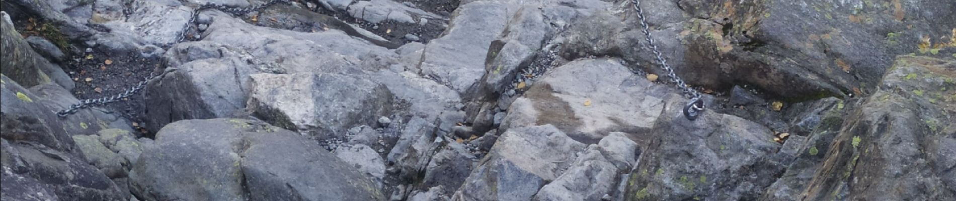 Tour Wandern Unknown - buerbreen glacier - Photo