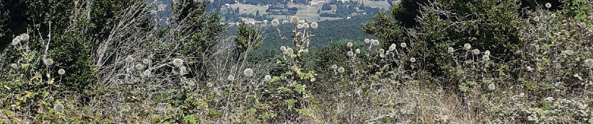 Tour Wandern Roche-Saint-Secret-Béconne - cam1 - Photo