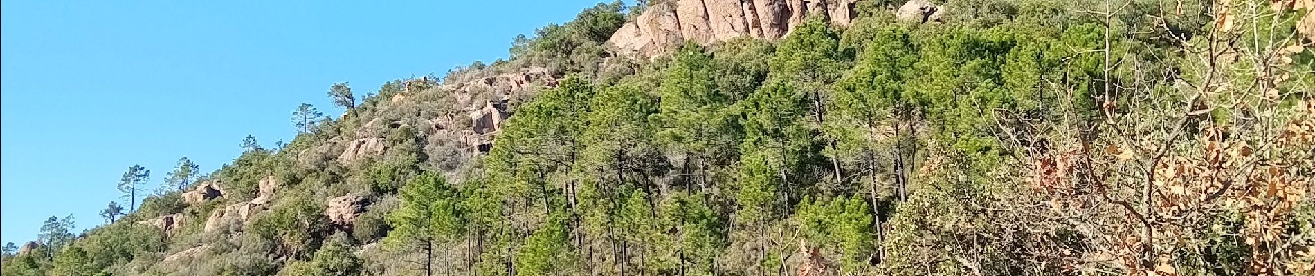 Trail Walking Roquebrune-sur-Argens - Pierre du coucou - Photo