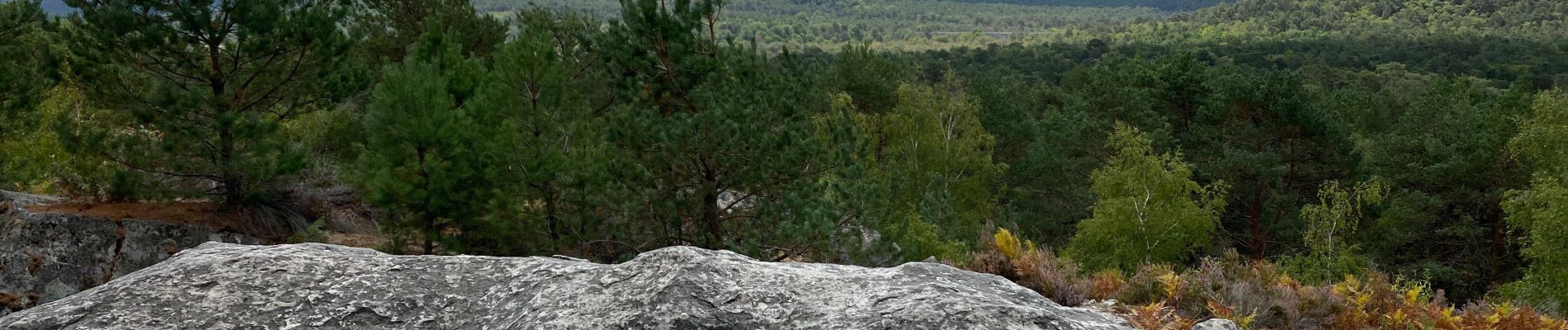 Tocht Stappen Fontainebleau - Parking route ronde vers St aigu - Photo