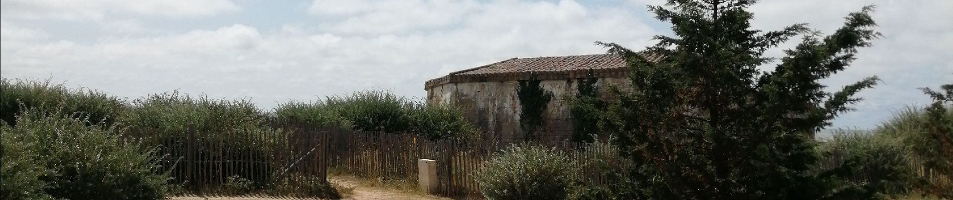 Percorso Marcia La Guérinière - la Gueriniere par la plage et les pins - Photo