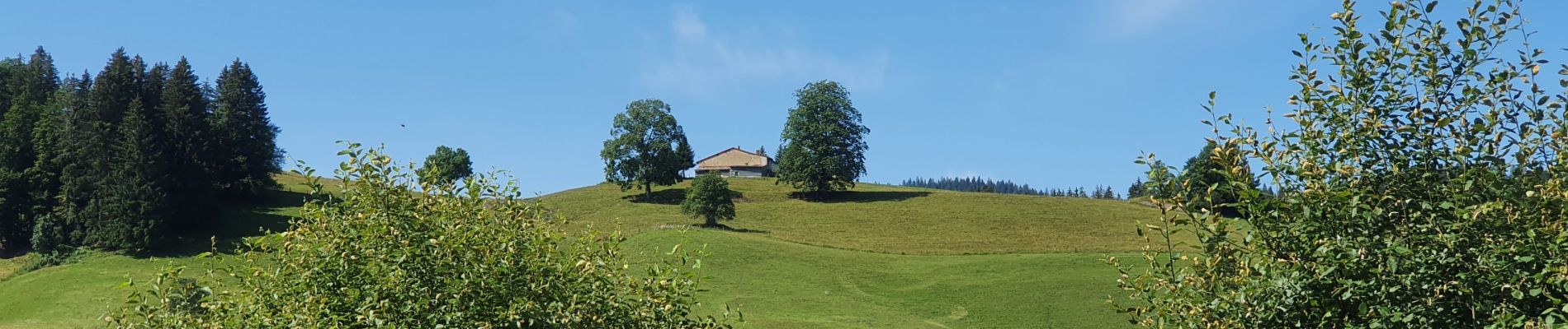 Tocht Stappen Les Rousses - Les Rousses - Belvédère des Dappes - Photo