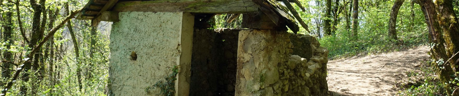 Tocht Stappen Saint-Jean-d'Arvey - Remontée de la Leysse-2021-04-22 - Photo