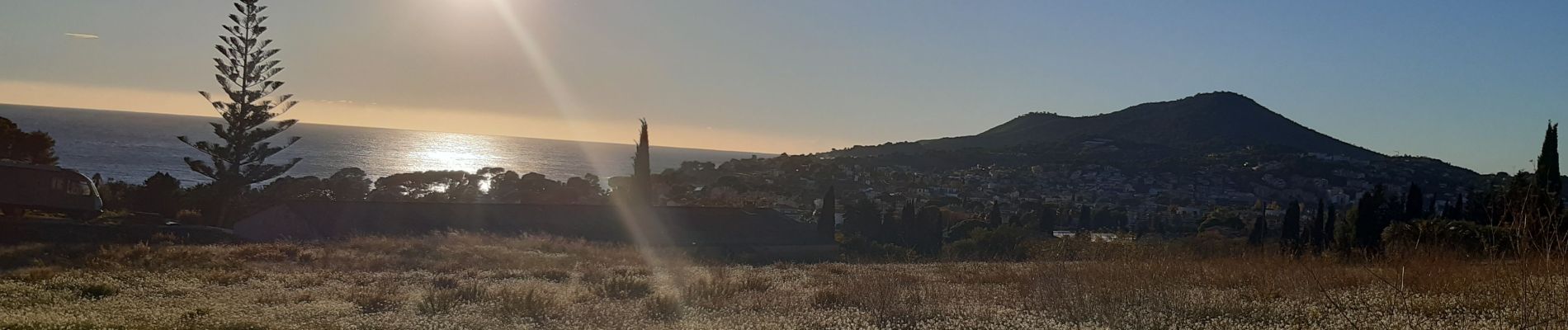 Tocht Stappen Le Pradet - Le pradet..Le mont des oiseaux  - Photo