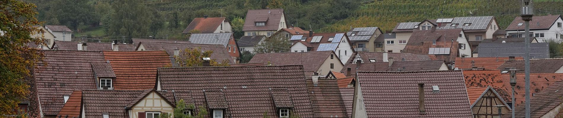 Percorso A piedi Vaihingen an der Enz - Riedberg Rundweg - Photo