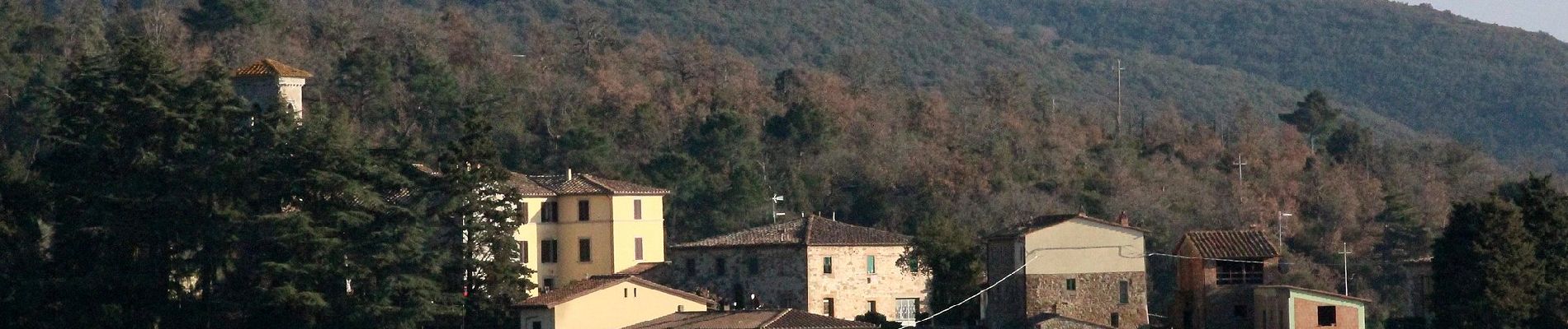 Randonnée A pied Gaiole in Chianti - Trekking tra i castelli 8 - Photo