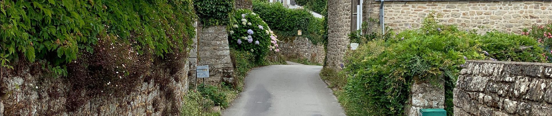 Excursión Senderismo Île-aux-Moines - L’île aux moines  - Photo