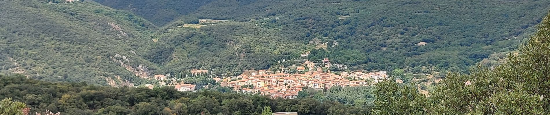 Tour Wandern Amélie-les-Bains-Palalda - 20210724 Amélie les bains - Photo