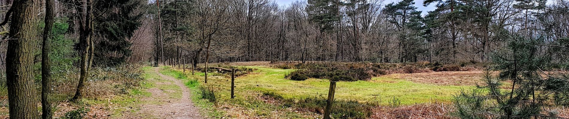 Tocht Stappen Huldenberg - Terlanen - Sint-Agatha-Rode - Photo