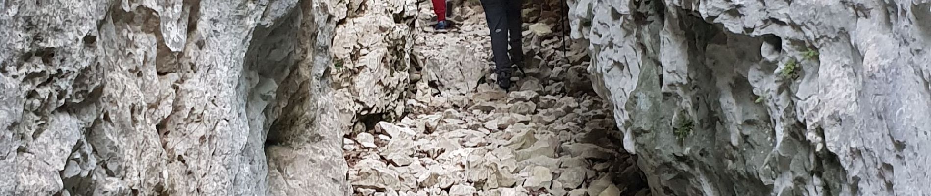 Tocht Stappen Bédoin - Beboin la combe de Curnier - Photo