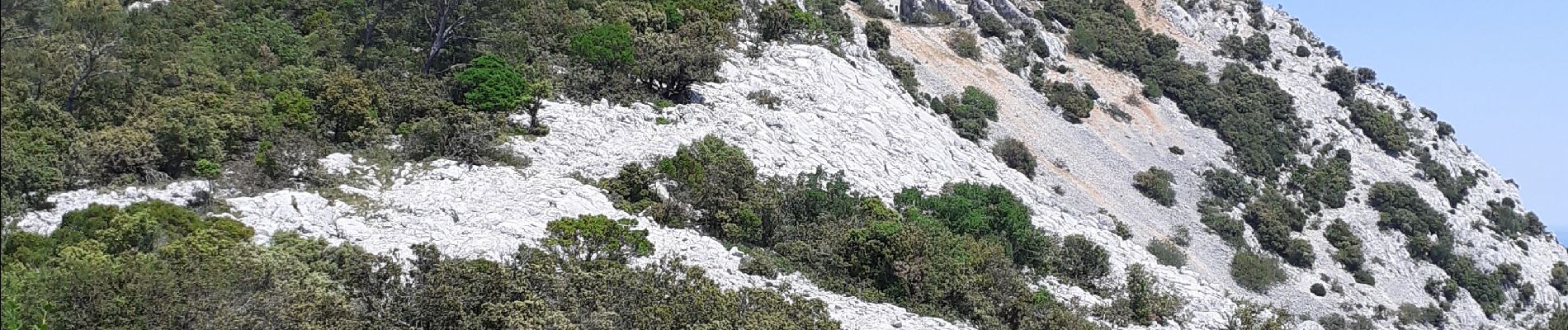 Tour Wandern La Valette-du-Var - Mt Coudon + crêtes - Photo