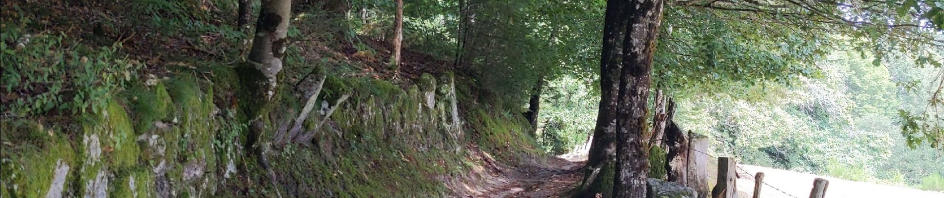 Trail Walking Estaing - Compostelle / Chemin du Puy : de Estaing à Espeyhrac - Photo