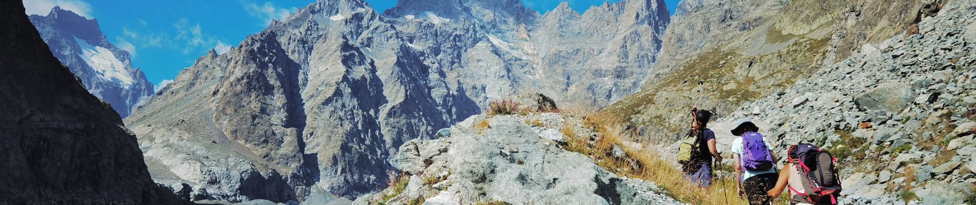 Trail Walking Vallouise-Pelvoux - Vallouise le glacier noir - Photo