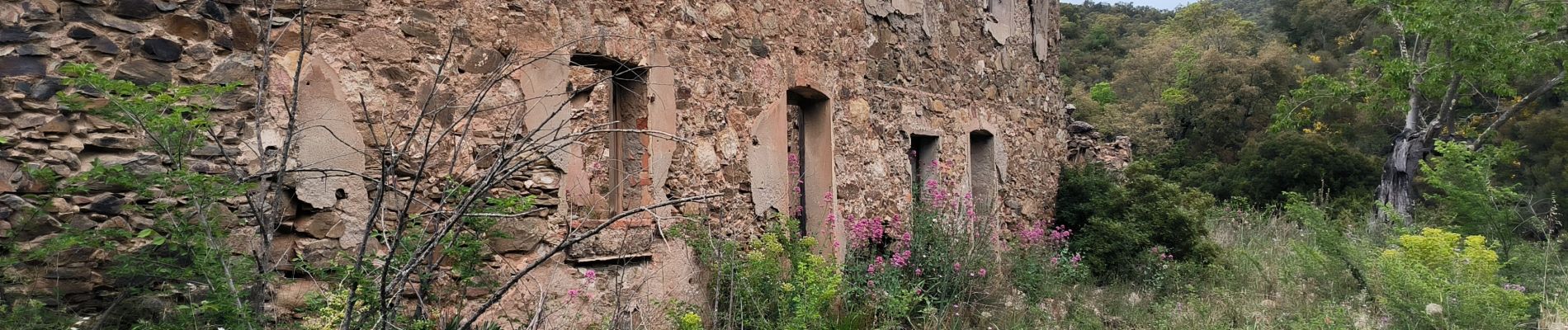 Randonnée Marche Hyères - les borelles 2 bis - Photo