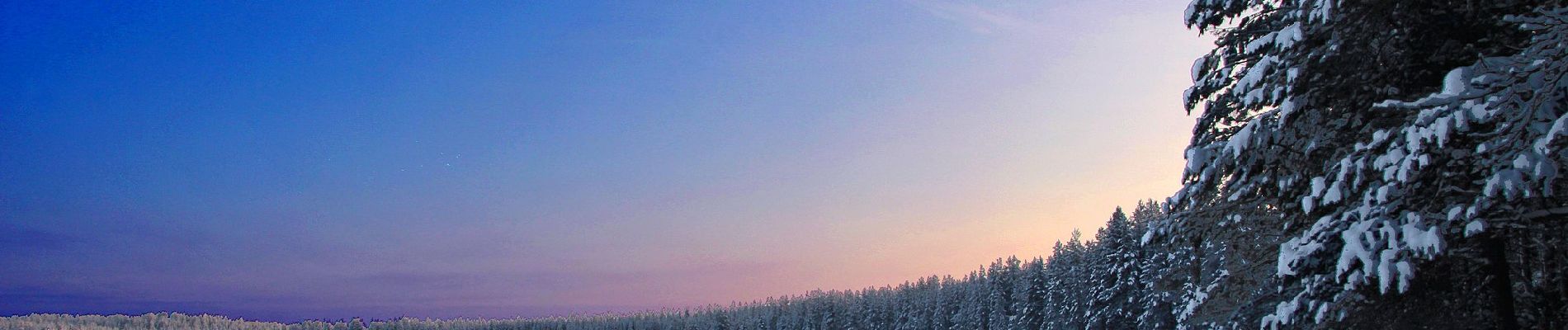 Percorso A piedi Suomussalmi - Hakokosken Hujaus - Photo