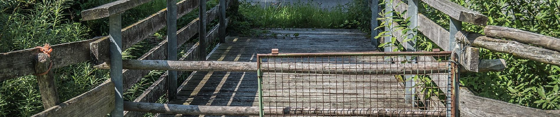 Percorso A piedi Hergiswil bei Willisau - Chanzelsagen - Hübeli - Photo