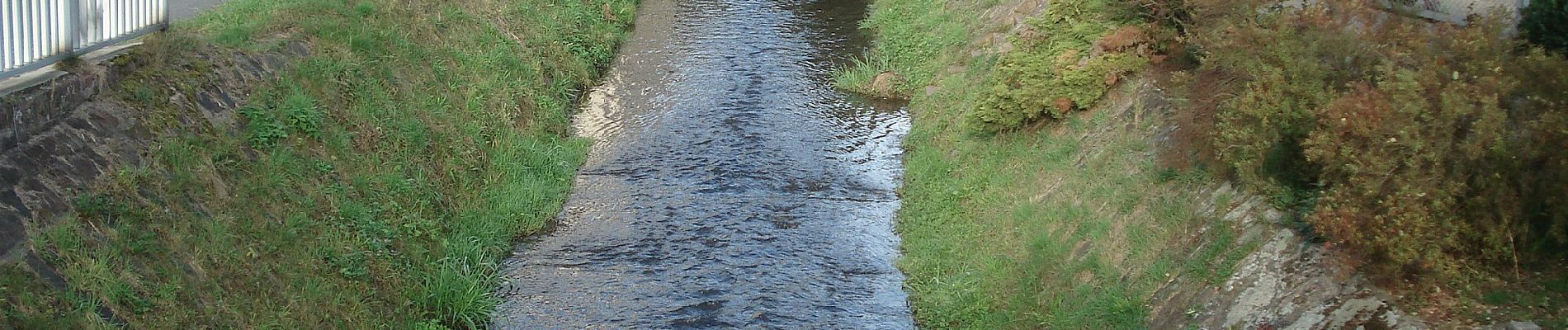 Tocht Te voet Walldürn - Rundwanderweg Schneeberg 3: Gottersdorf-Weg - Photo