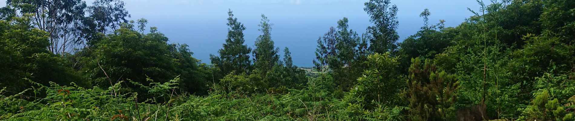 Tour Wandern Água de Alto - Lago de fuego - Photo