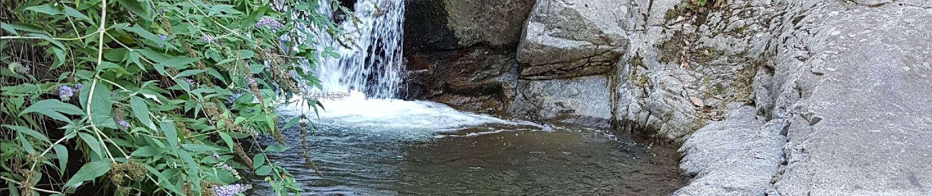 Trail Walking Vernet-les-Bains - cascade des anglais  - Photo