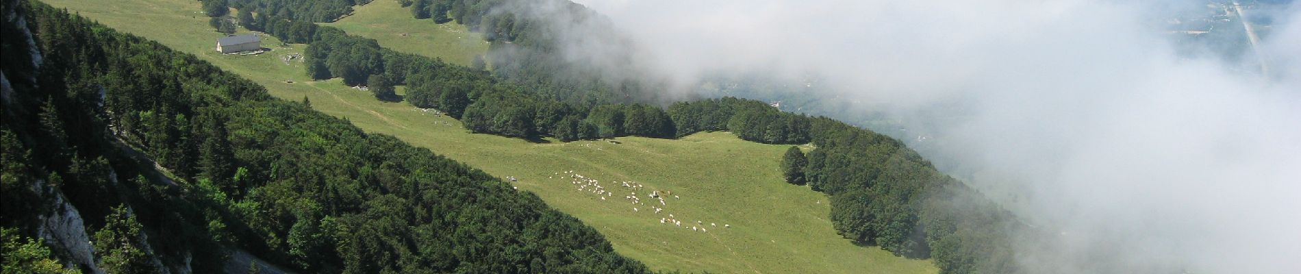 Tocht Stappen Autrans-Méaudre en Vercors - fessole et pas de la cle - Photo