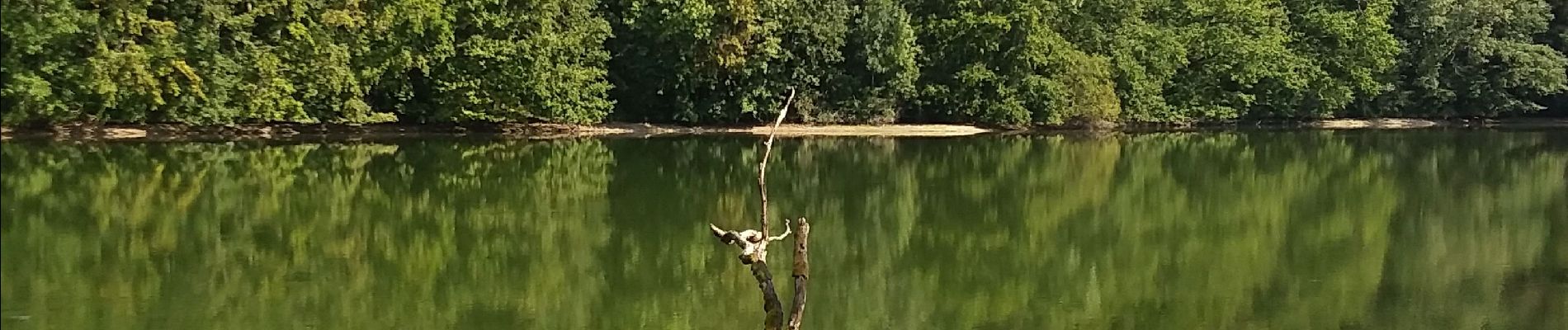 Tour Wandern Pampelonne - Fontbonne  autour du barrage - Photo