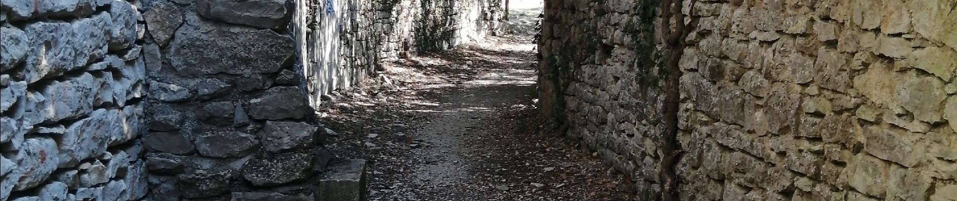 Trail Walking Seynes - Le mont buquet - Photo