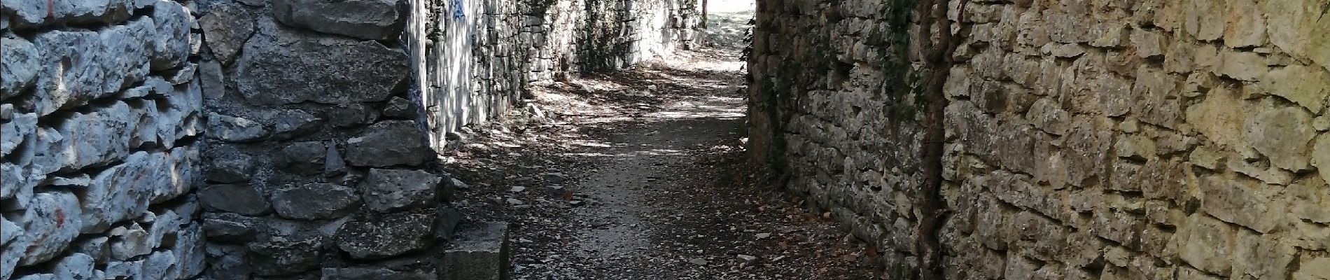 Randonnée Marche Seynes - Le mont buquet - Photo