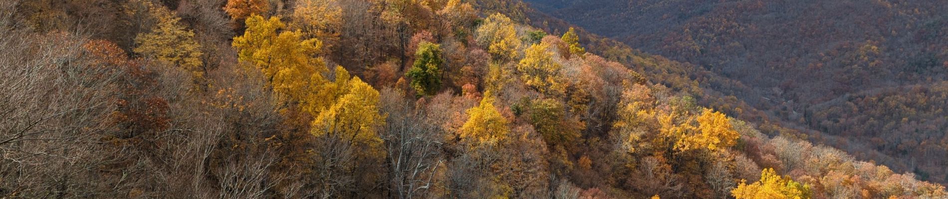 Randonnée Marche Unknown - Crabtree falls Virginia - Photo