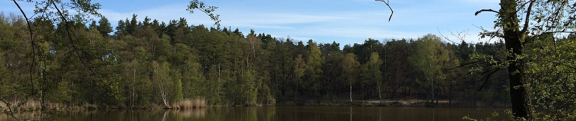 Tocht Te voet Märkisch Buchholz - Rundwanderweg Köthener Heideseen - Photo