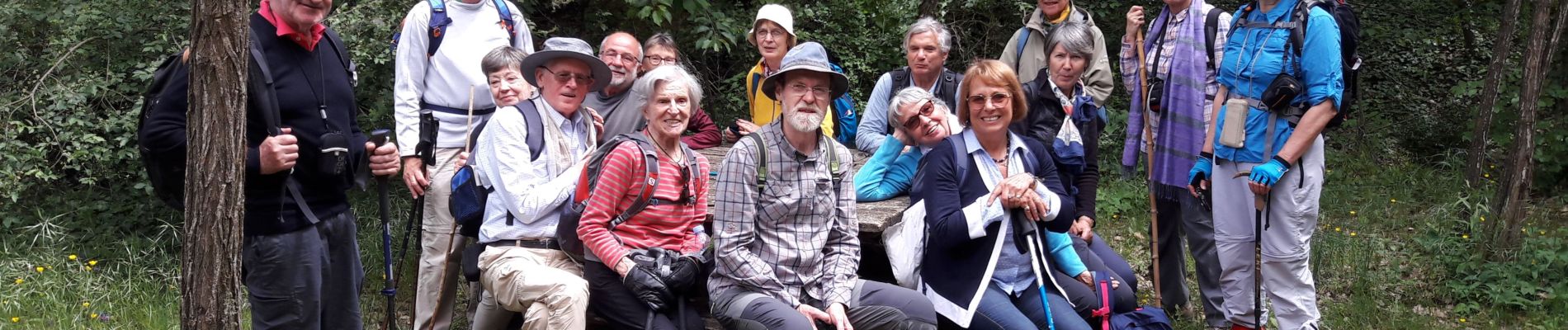 Tour Wandern Ratières - st donat - Photo