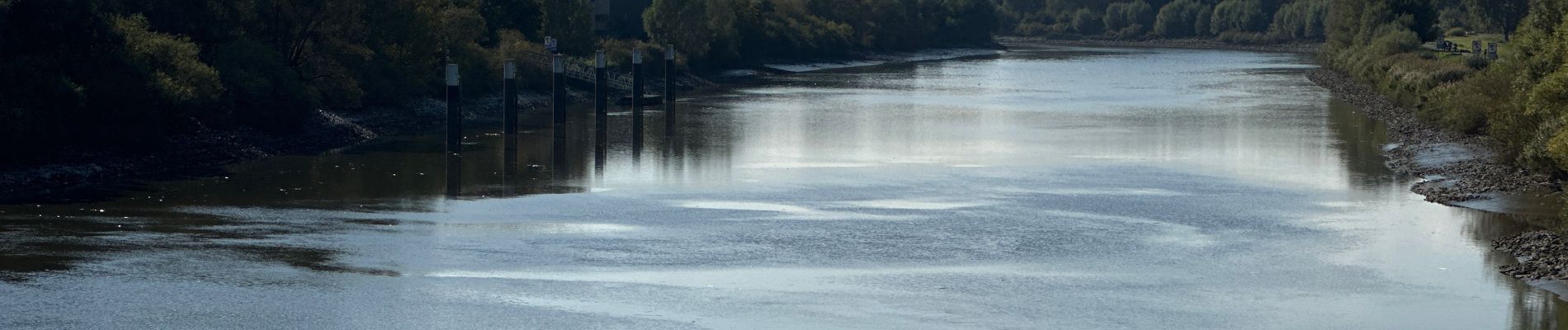 Tocht Stappen Dendermonde - Dendermonde Kastel 17,8 km - Photo