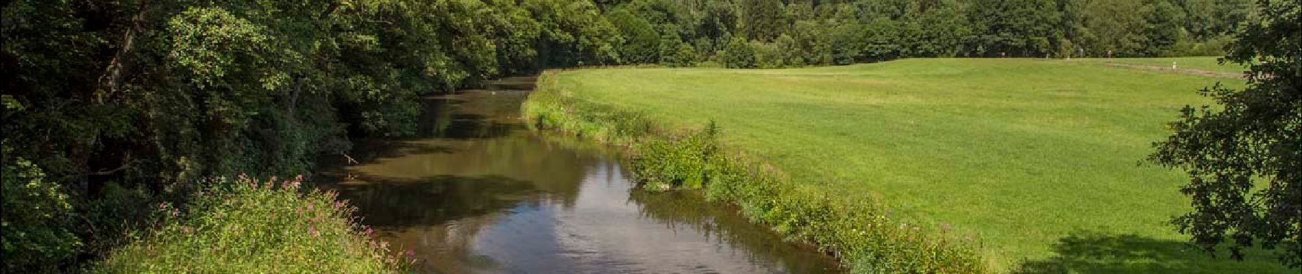 Tocht Te voet Wissen - Landfrauenweg #8 - Photo