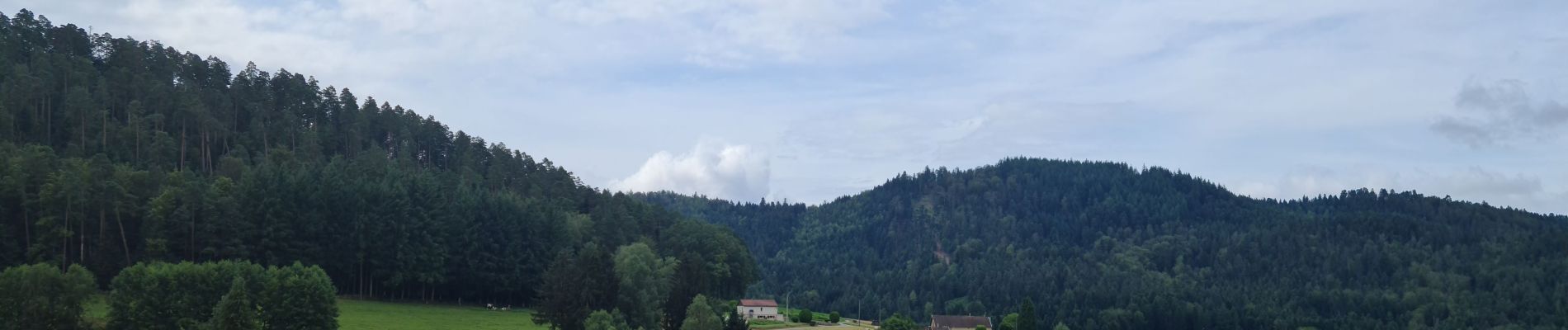 Excursión Bicicleta híbrida La Neuveville-devant-Lépanges - Sortie vélo 21 juillet  - Photo