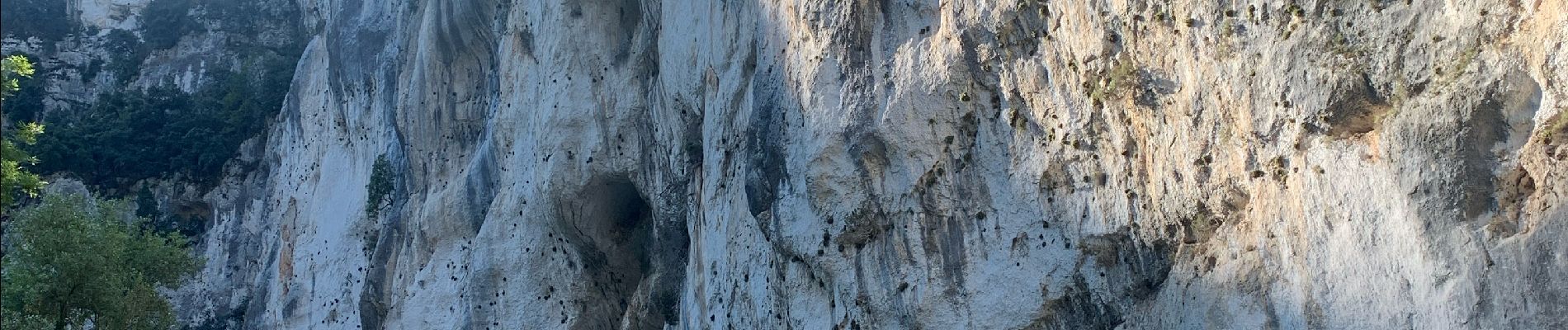 Trail Walking La Palud-sur-Verdon - Blanc Martel - Photo