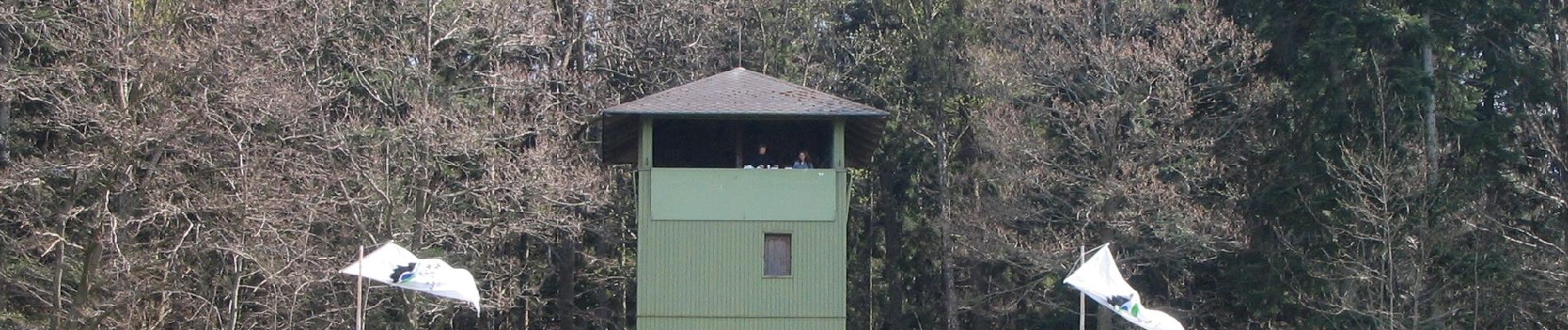 Tour Zu Fuß Schömberg - Langenbrand - Schwanner Warte - Photo