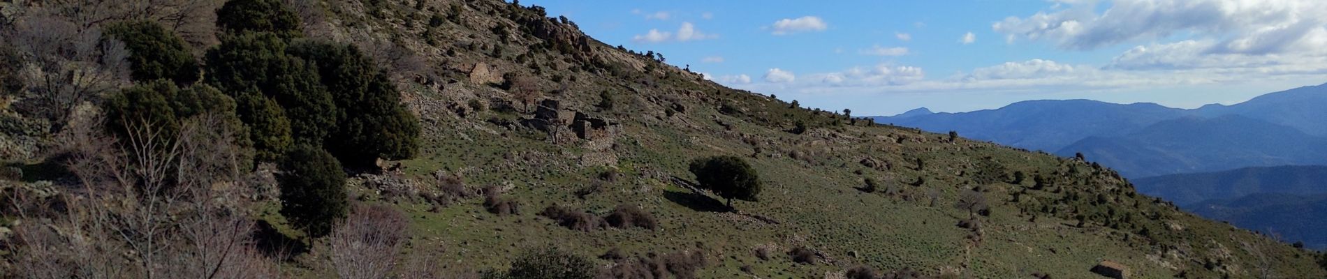 Tocht Stappen Moltifao - Sentier de l'Altare - Photo